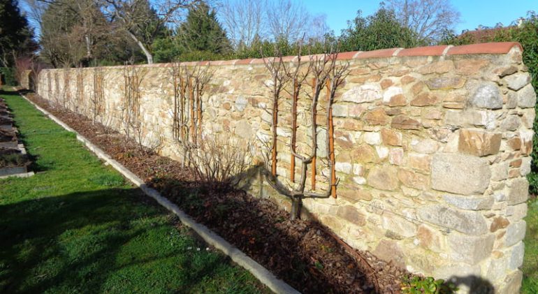 Conception du mur de clôture